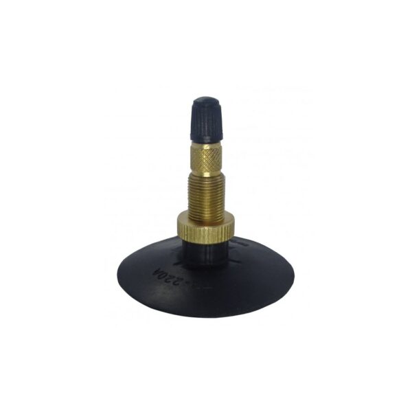 VÁLVULA BASE DE BORRACHA TR 220A GOLDAX